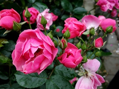 c0204725_08003584.jpg