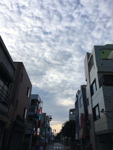 f0327534_12072508.jpg
