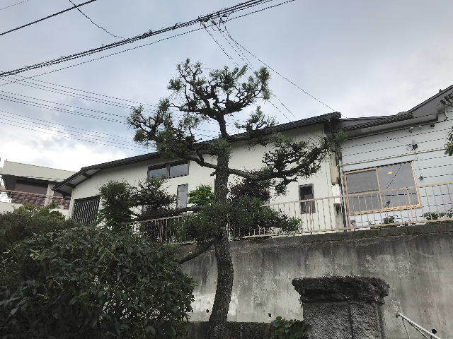 植木剪定・ごみ処理_f0031037_17162568.jpg