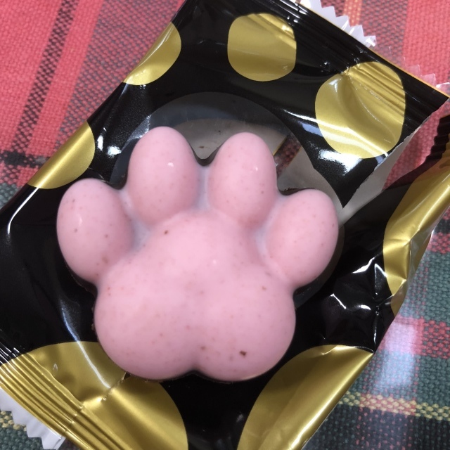 b0031538_23324584.jpeg