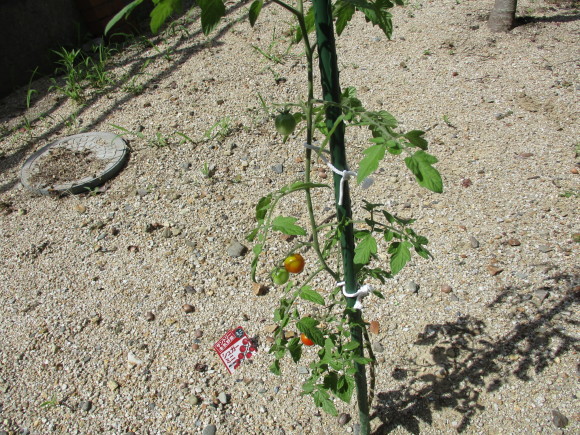 e0206847_10092997.jpg