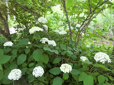 f0019247_0454117.jpg