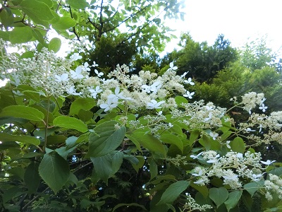f0019247_046127.jpg