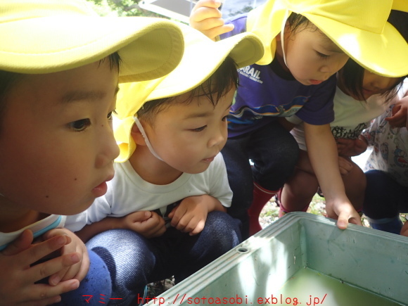 d0105749_14341299.jpg