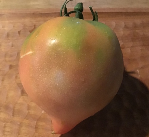 f0352451_22071053.jpeg