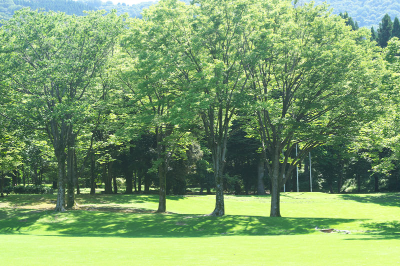d0342652_100730.jpg