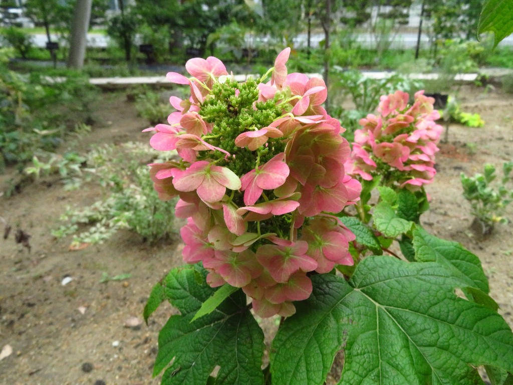 a0018655_09575456.jpg