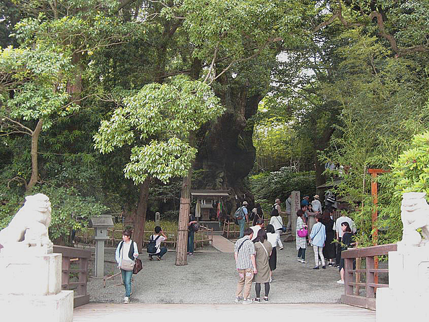 続・来宮神社_e0129656_22574968.jpg