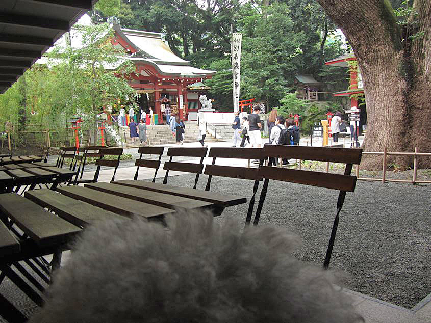 続・来宮神社_e0129656_23002259.jpg