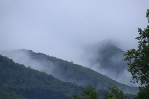 b0168360_14100648.jpg