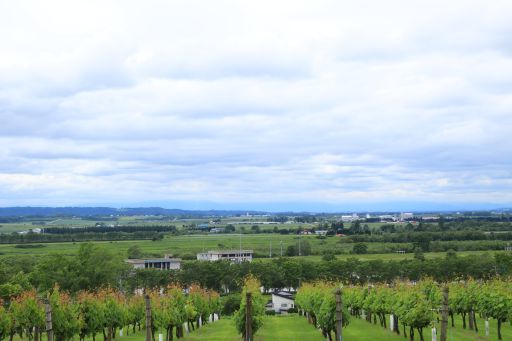 b0168360_14113370.jpg