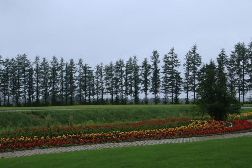 b0168360_14135548.jpg