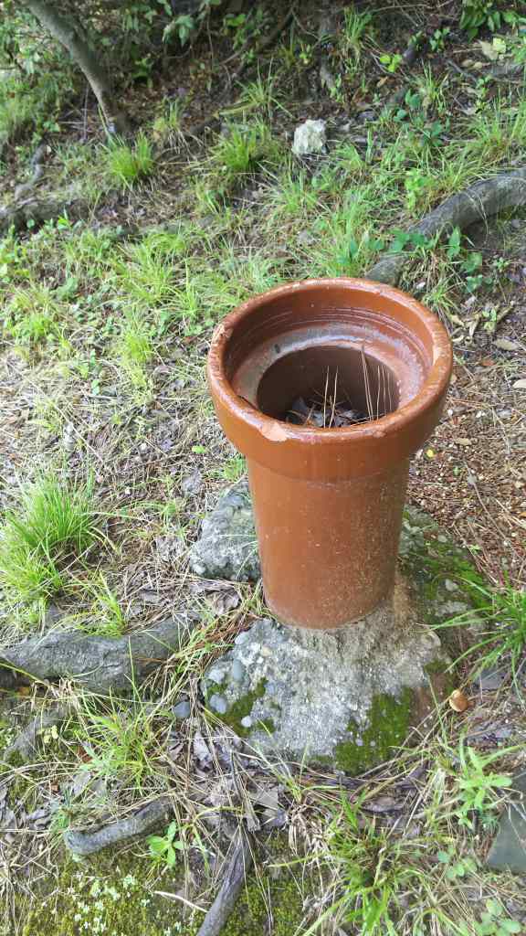 安兵衛　→　大山緑地　→　春日神社　→　デンパーク_f0374164_17361813.jpg