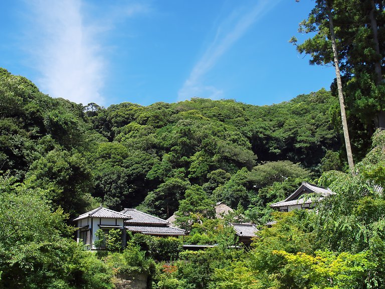 円覚寺（７月１０日）_c0057265_18294412.jpg