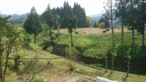 a0120468_11244910.jpg
