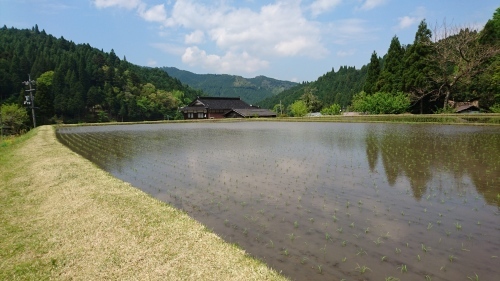 a0120468_11333031.jpg