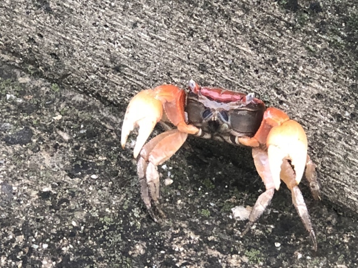 e0056272_22460335.jpeg