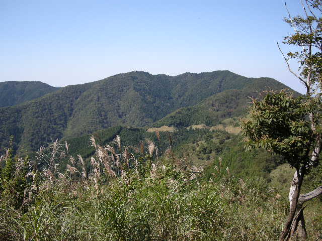 b0185573_12135065.jpg