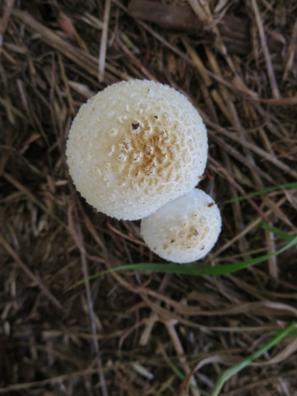d0264176_21592823.jpg