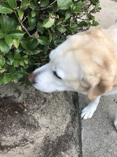 f0315081_22083158.jpeg