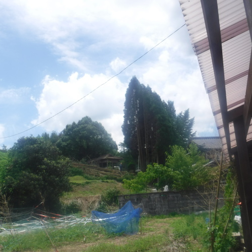 窯詰め作業_d0195183_21292750.jpeg