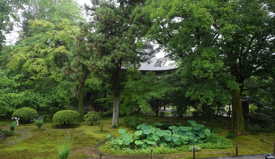 f0182885_21493365.jpg