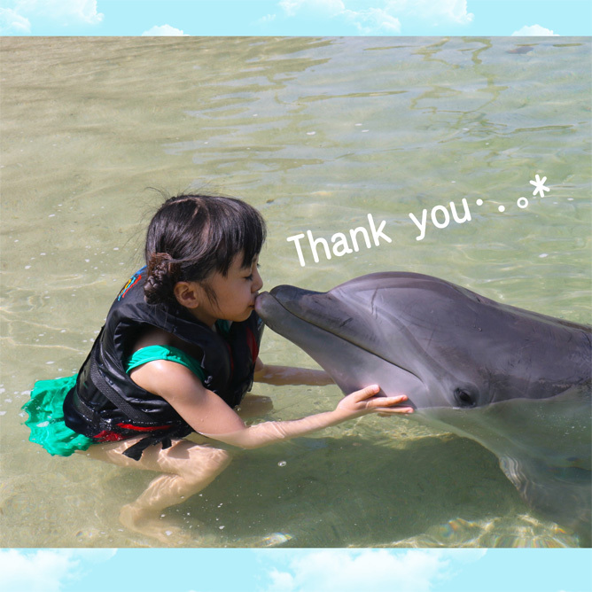 Hawaii…♡3♡ (イルカさんとサンセットディナー)_d0224894_17301464.jpg