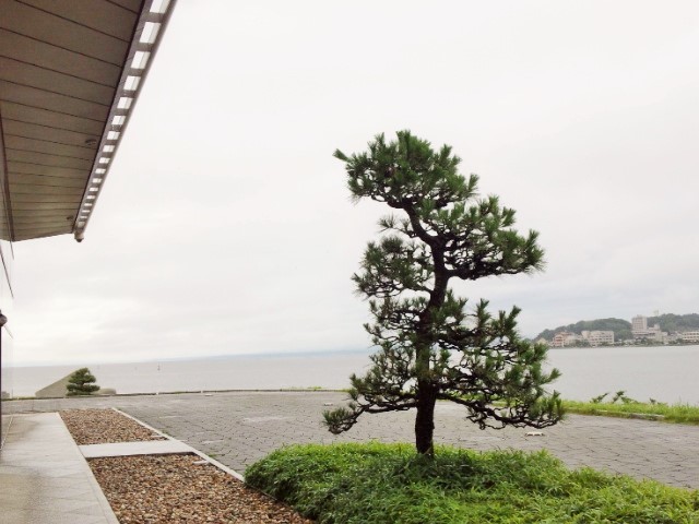 a0105396_23073422.jpg