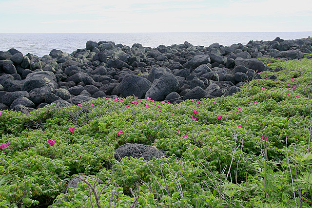 b0014607_19220232.jpg