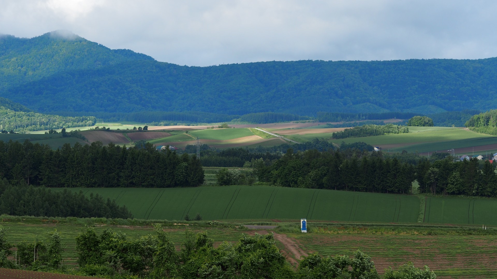 f0203707_08234640.jpg