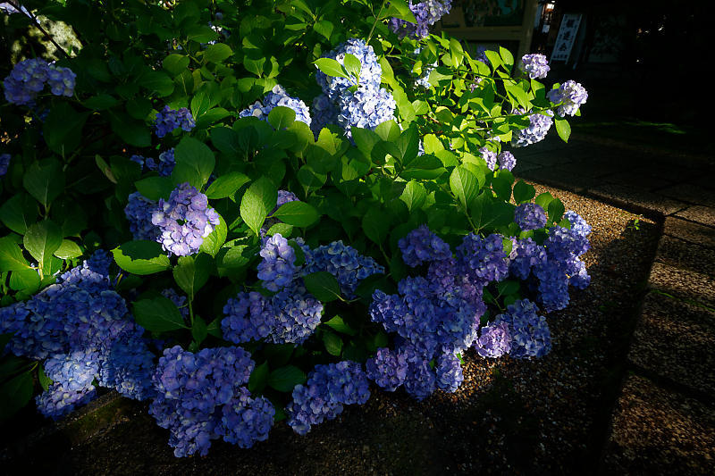 f0032011_21134443.jpg