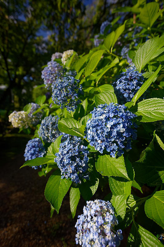 f0032011_21134576.jpg