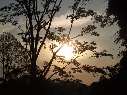c0141013_07483416.jpg