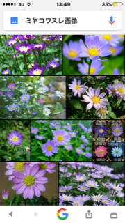 e0231614_16231034.png