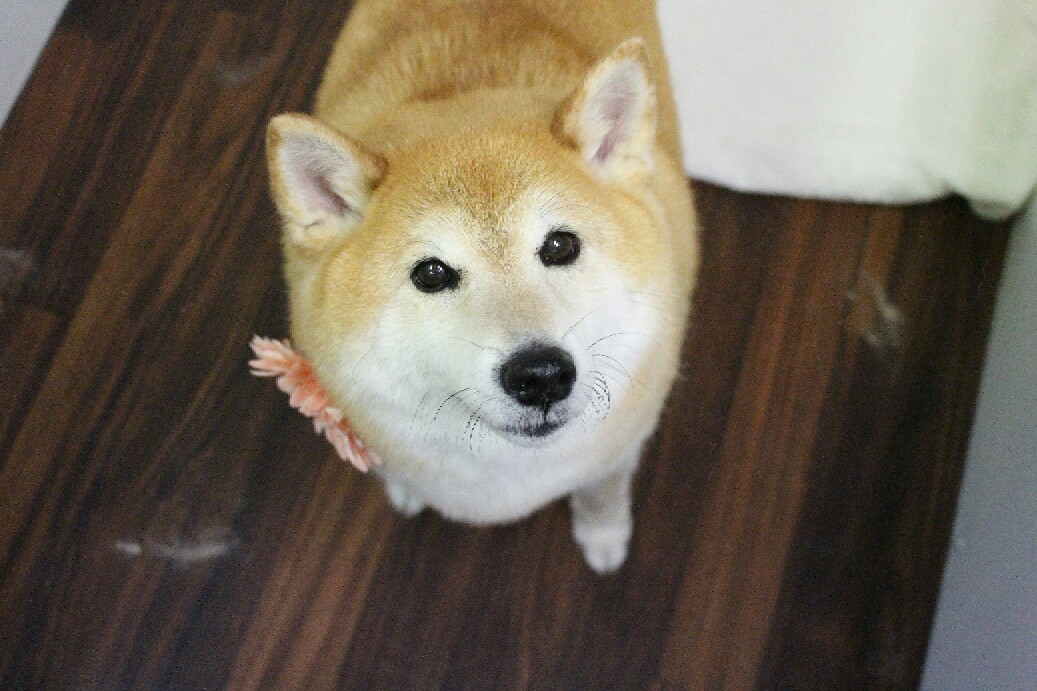 7月12日にご来店のお客様です！！_b0130018_22495420.jpg