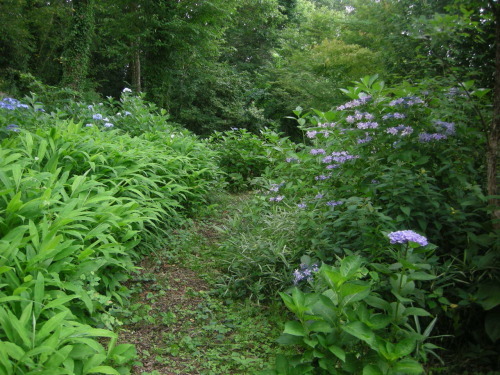 e0206820_13594509.jpg