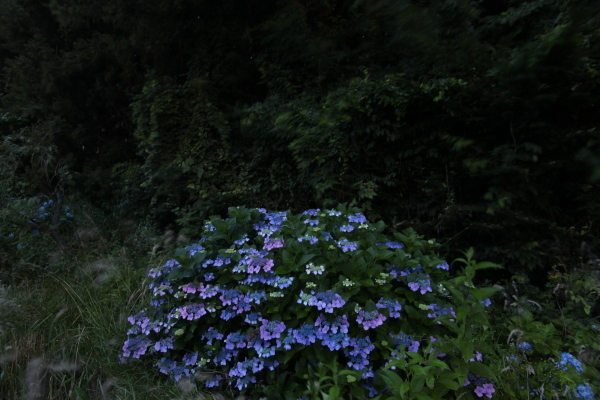 e0242721_08154156.jpg