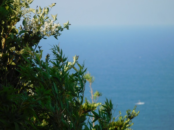 f0097528_853129.jpg