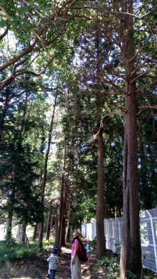 b0369933_15372478.jpg