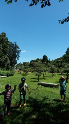 b0369933_16034255.jpg