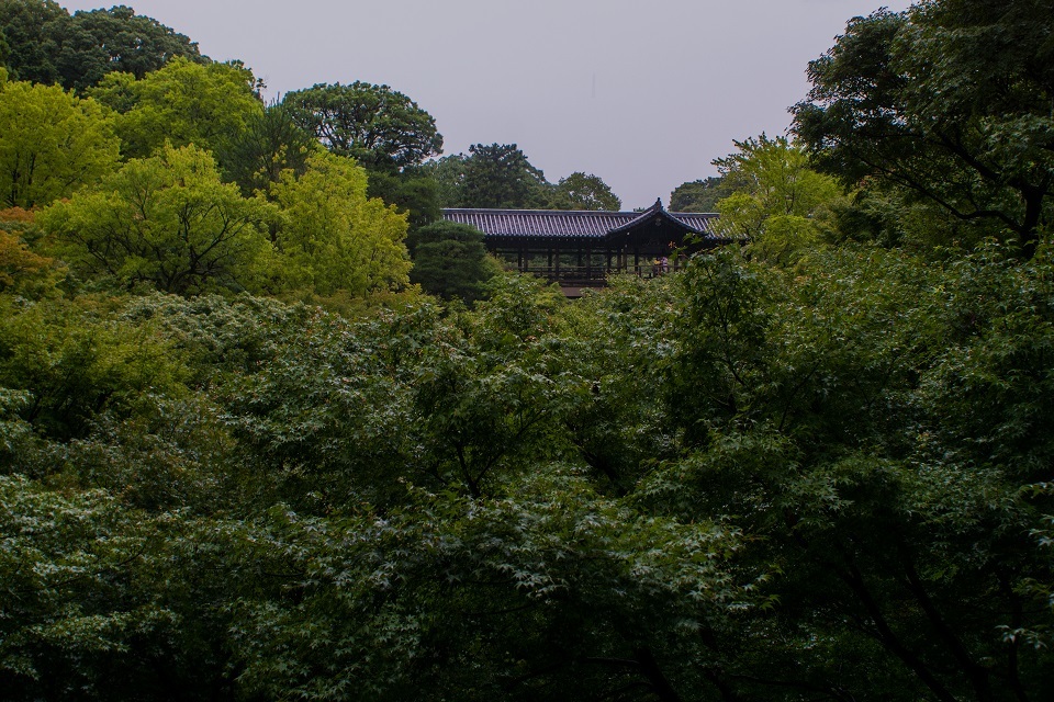 e0363038_13102934.jpg