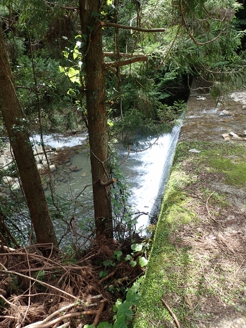 d0378939_05344435.jpg