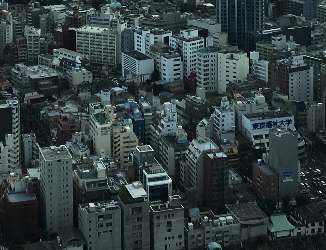 b0330040_21463919.jpeg