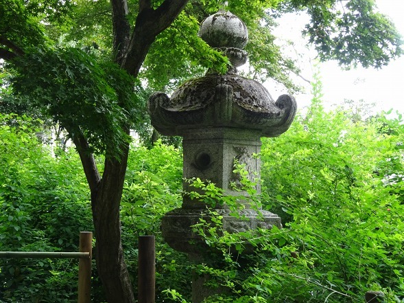 b0299042_15443053.jpg