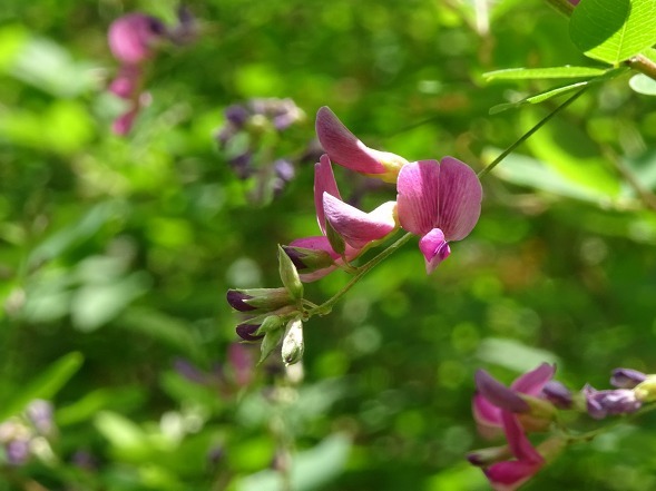b0299042_15443418.jpg