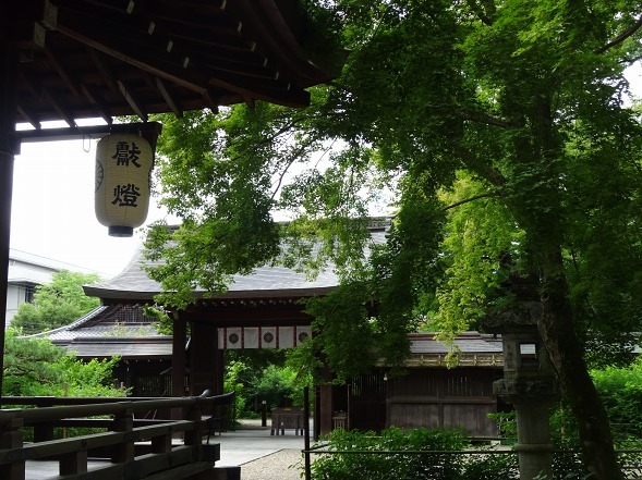 b0299042_15445755.jpg
