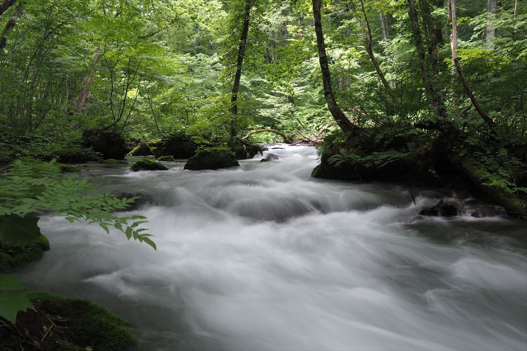 f0396143_1758499.jpg