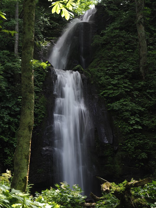 f0396143_17595725.jpg