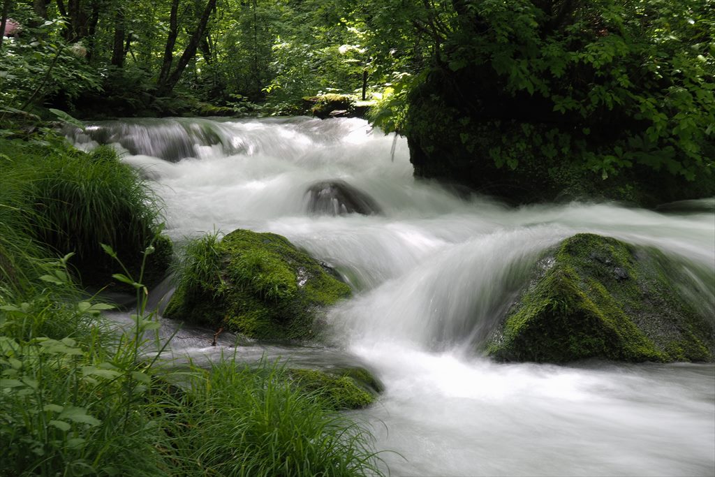f0396143_1759715.jpg