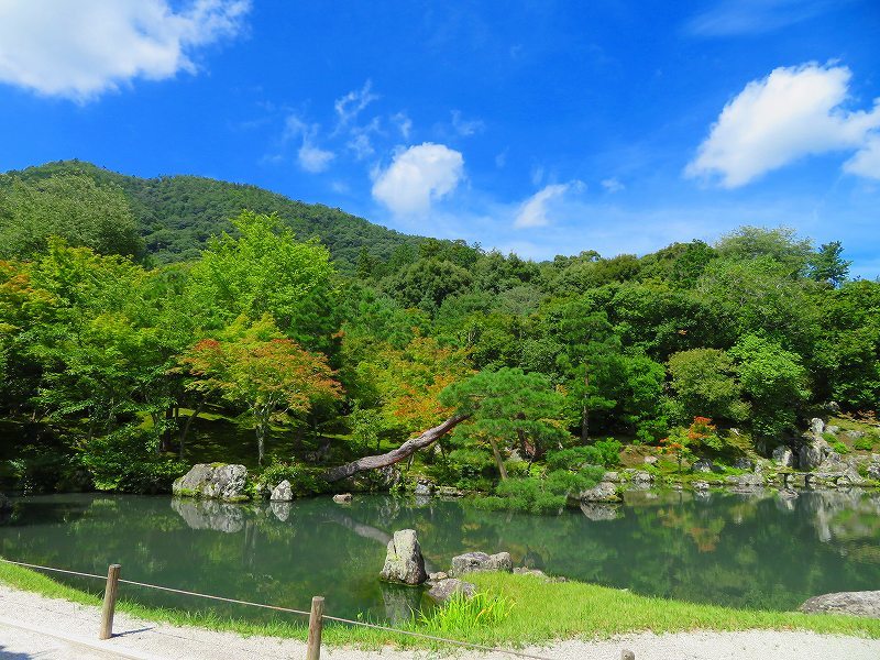天龍寺(嵐山)の境内20180709_e0237645_17341866.jpg